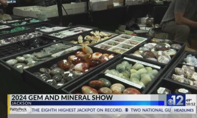 2024 Gem and Mineral Show held in Jackson