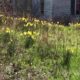 Focused on Mississippi: First signs of Spring