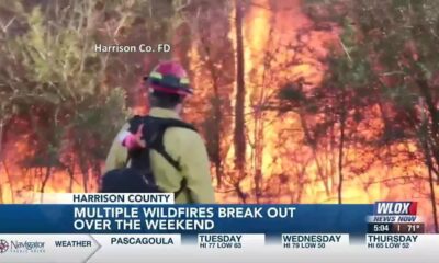 Multiple wildfires break out over the weekend in Harrison County