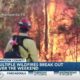 Multiple wildfires break out over the weekend in Harrison County