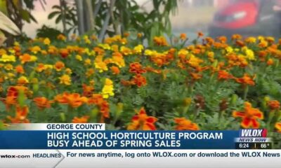 George County High School horticulture students busy ahead of spring sales