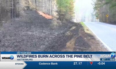 Wildfires burn across the Pine Belt