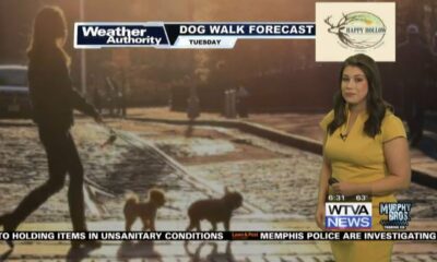 Dog Walk Forecast for Feb 27- Otis