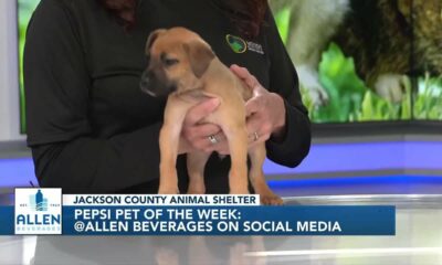 Pepsi Pet of the Week: Pretzel (02/27/2024)