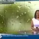 News11 at 10PM_Weather 2/27/24