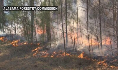 Fire Alert issued in southwest Alabama