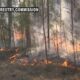 Fire Alert issued in southwest Alabama