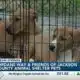 Jordan's Way, Friends of Jackson County Animal Shelter raise money for rescue animals