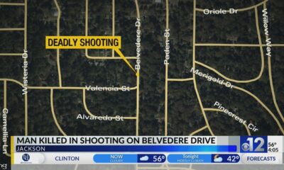 Man killed in shooting on Belvedere Drive in Jackson