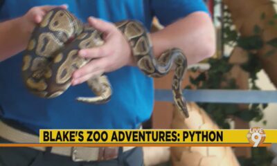 Jackson Zoo Adventures: Python