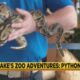 Jackson Zoo Adventures: Python