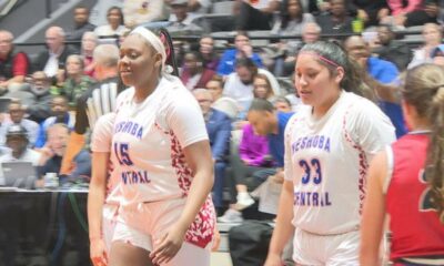 MHSAA Basketball State Semifinals Recap