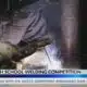 2024 High School Welding Competition held in Ridgeland