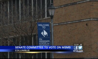 Senate committee to vote on MSMS bill at 4:00