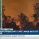 Firefighters battling large woods fire in Hancock County
