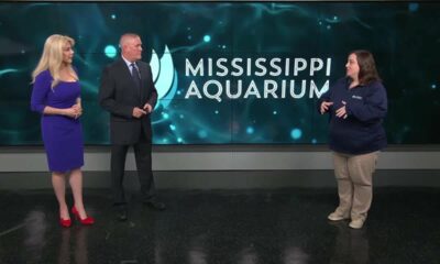 Discussing Dolphin Awareness Month with the Mississippi Aquarium