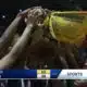 Full Saturday state basketball final highlights