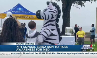 Ocean Springs hosts 7th annual Zebra Run to raise awareness for MSD