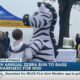 Ocean Springs hosts 7th annual Zebra Run to raise awareness for MSD