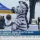 Ocean Springs hosts 7th annual Zebra Run to raise awareness for MSD
