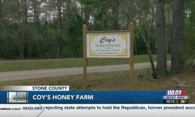 Coast Life: Coy's Honey Farm buzzing as spring starts to bloom