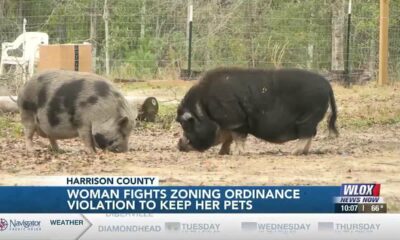 Harrison County woman fighting zoning ordinance to keep pot-bellied pigs