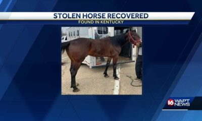 Racehorse stolen from Mississippi found in Kentucky
