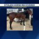 Racehorse stolen from Mississippi found in Kentucky