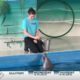 Institute for Marine Mammal Studies holds dolphin stranding workshop