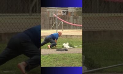 RESCUERS SAVE DUCK WITH HOOK CAUGHT IN NECK