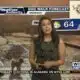 Dog Walk Forecast for March 6th - DeeCee