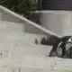 Penguins visit the Mississippi Capitol