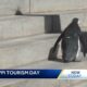 Penguins visit the State Capitol to promote tourism