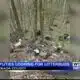 Search for litterbugs underway in Grenada County