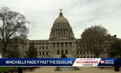 Where do the bills stand in the Mississippi legislature?