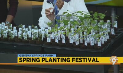 Spring Planting Festival