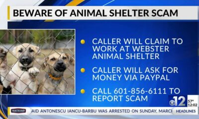 Madison police warn neighbors about animal shelter scam