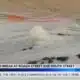 Water main break on Roach Street in Jackson