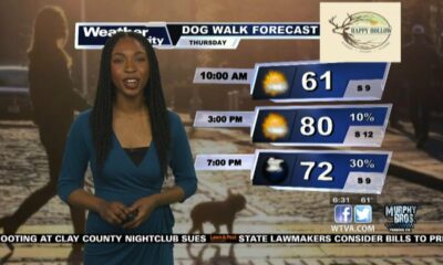 Dog Walk Forecast for Mar. 14 - Kao Jennings