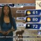 Dog Walk Forecast for Mar. 14 - Kao Jennings