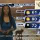 Dog Walk Forecast for Mar. 14 – Kao Jennings