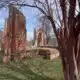 Focused on Mississippi: Christ Episcopal Church-Vicksburg