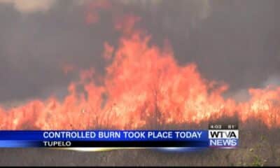 Controlled Burns happening along the Natchez Trace