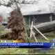 Noon: Pontotoc County family trying begin cleanup after tree falls on home