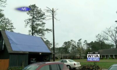 Storm causes tree to fall on home, damages vehicles in Amory