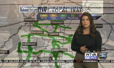 Dog Walk Forecast for March 18th - Alpha
