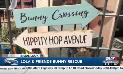 INSIDE LOOK: Lola & Friends Bunny Rescue