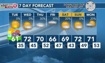 Today's Weather - Avaionia Smith - March 19th, 2024
