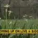 Live at 9 preview for March 20