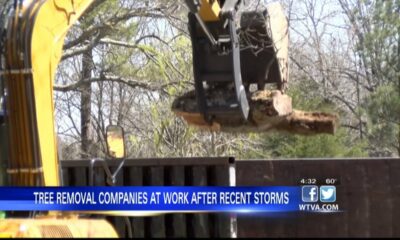 Tree removal companies putting in overtime around northeast Mississippi after Friday storms